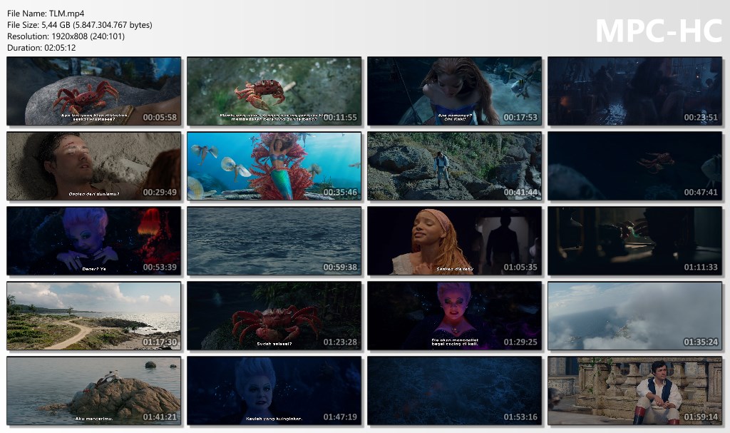 The Little Mermaid The Little Mermaid